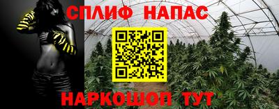 наркотики Новозыбков