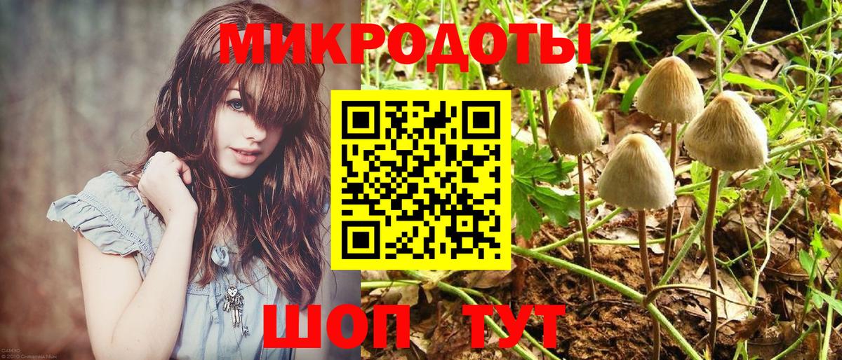 Галлюциногенные грибы Psilocybine cubensis Сердобск