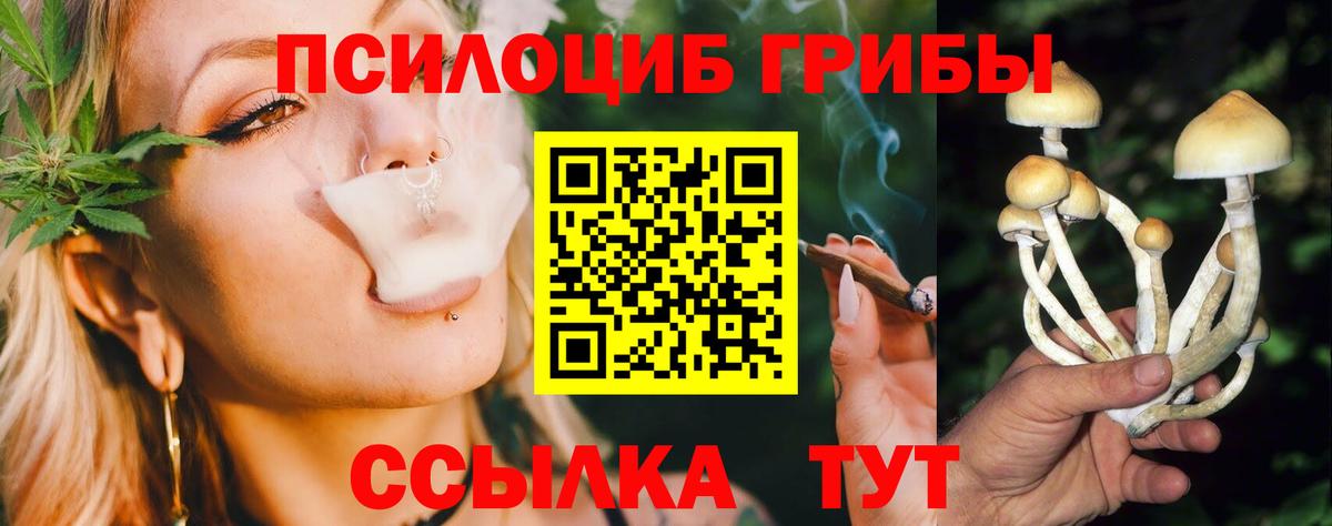 Сердобск  Галлюциногенные грибы GOLDEN TEACHER  Вход с VPN 
